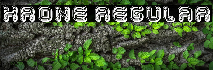 Krone Regular Example 3