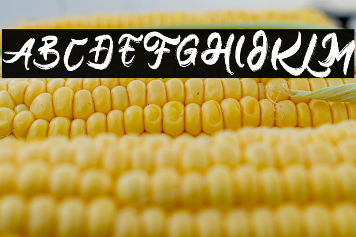 Kronos FREE Example 3