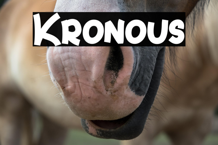 Kronous Example 1