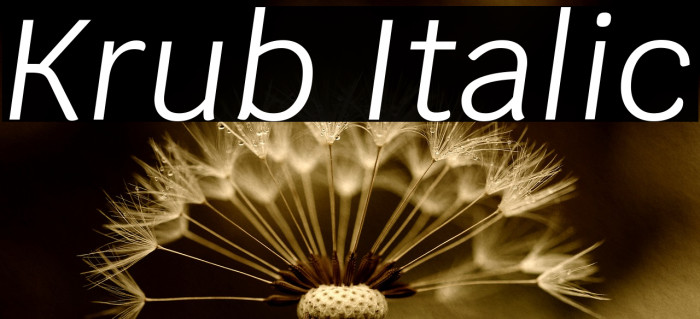 Krub Italic Font examples