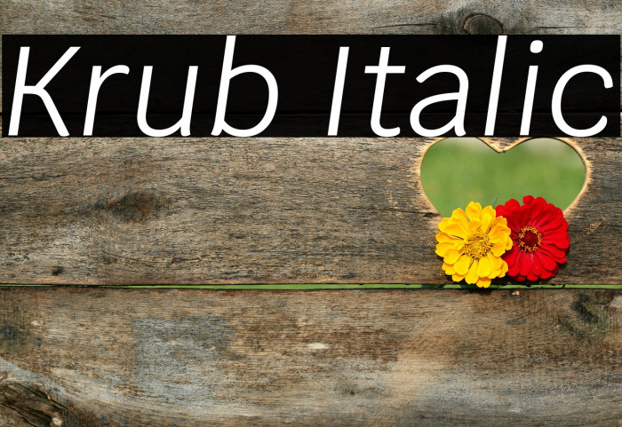 Krub Italic Font examples
