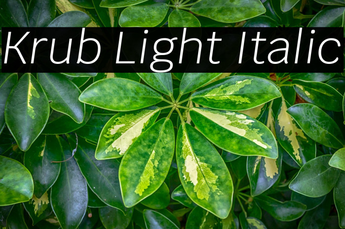 Krub Light Italic Font examples