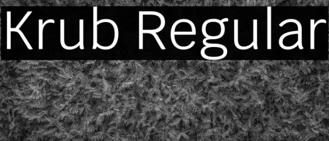 Krub Regular Font examples