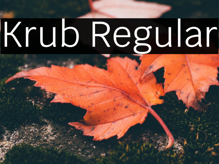 Krub Regular Font examples