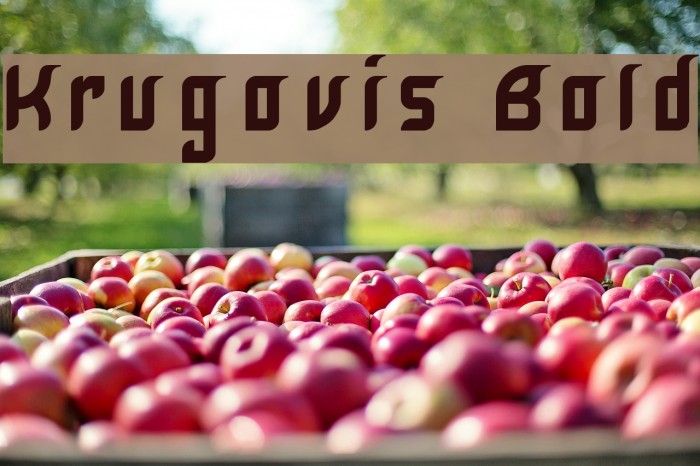Krugovis Bold Font examples