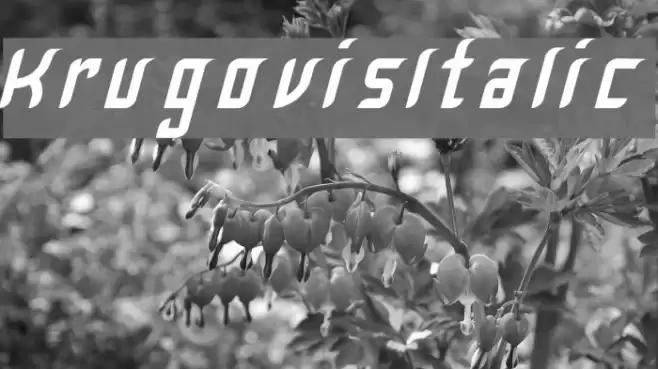 Krugovis-Italic Font examples