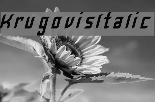 Krugovis-Italic Font examples