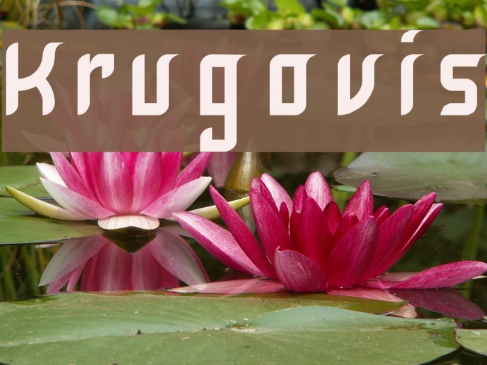 Krugovis Font examples