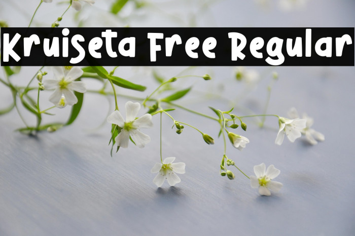 Kruiseta Free Regular Example 2