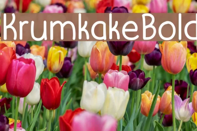 KrumkakeBold Example 2