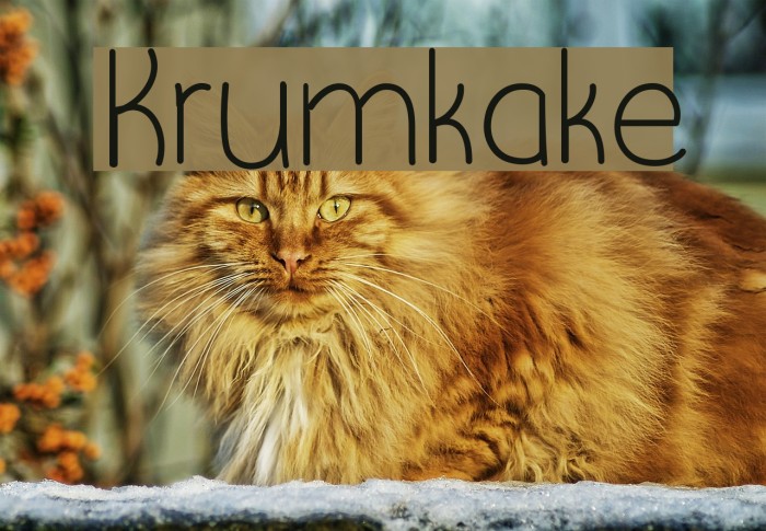 Krumkake Font examples