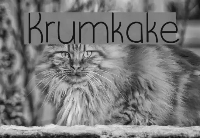 Krumkake Font examples