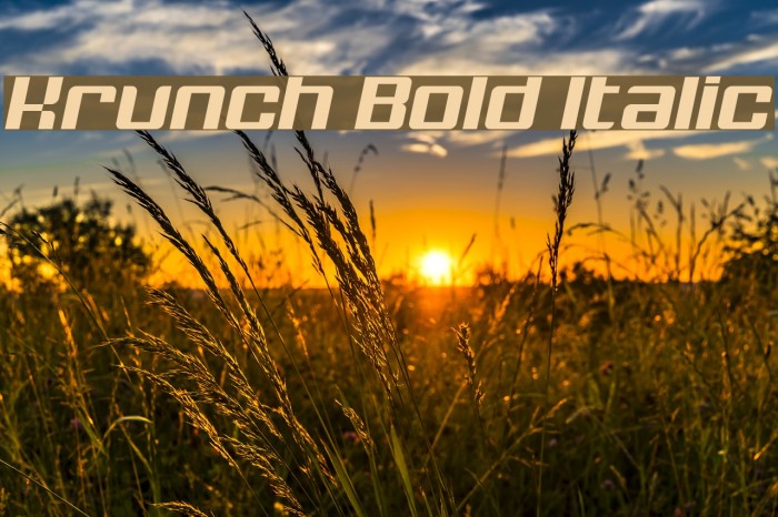 Krunch Bold Italic Font examples