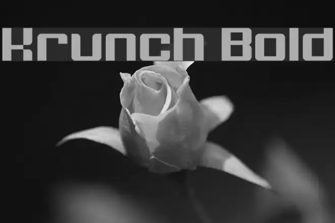 Krunch Bold Font examples