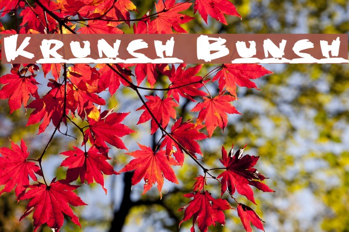 Krunch Bunch Font examples