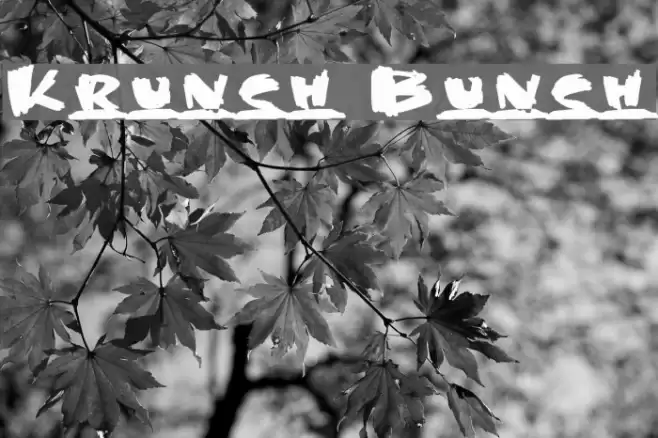 Krunch Bunch Шрифта examples