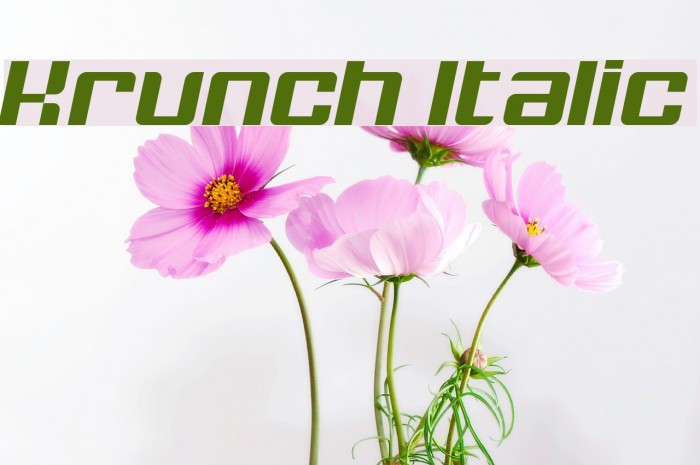 Krunch Italic Font examples