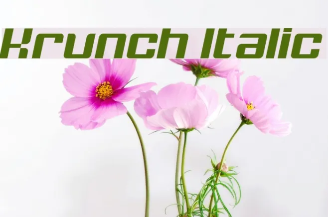 Krunch Italic Example 2