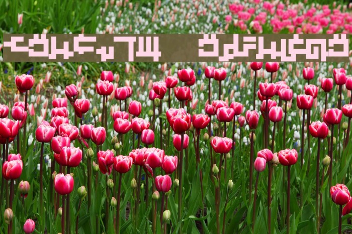 Kruptos Regular Example 2