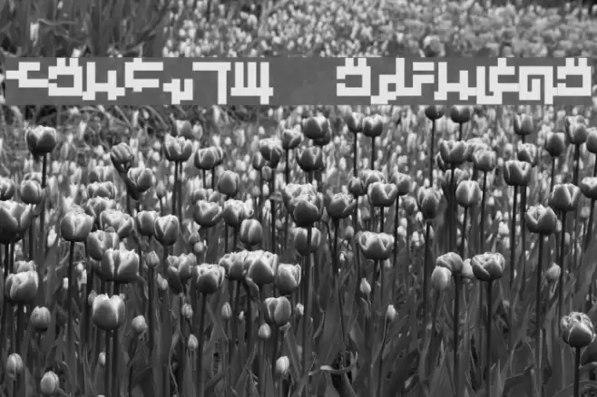 Kruptos Regular Font examples