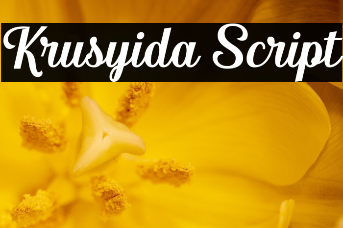 Krusyida Script Example 2