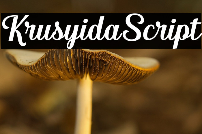 KrusyidaScript Example 1