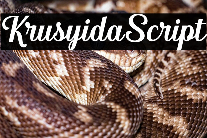 KrusyidaScript Example 2