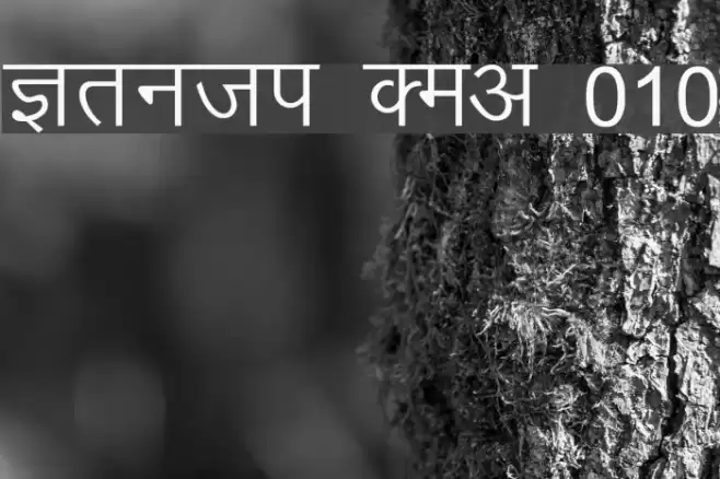 Kruti Dev 010 Font examples