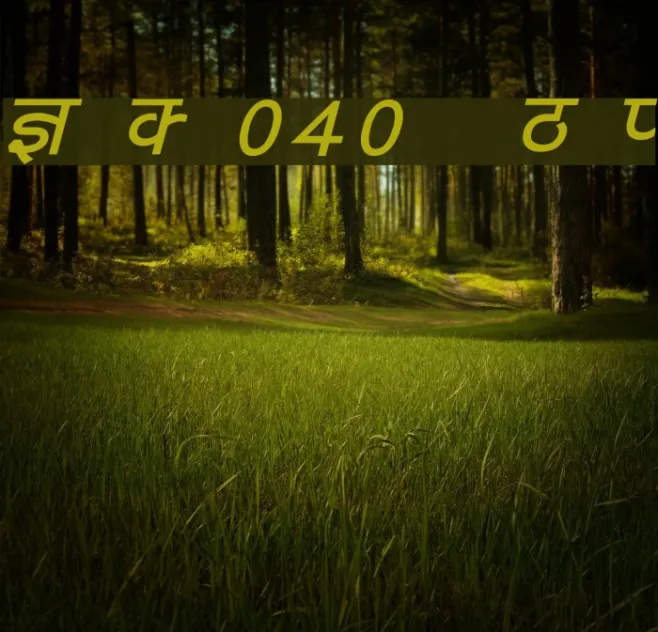 Kruti Dev 040  Bold Italic Example 3