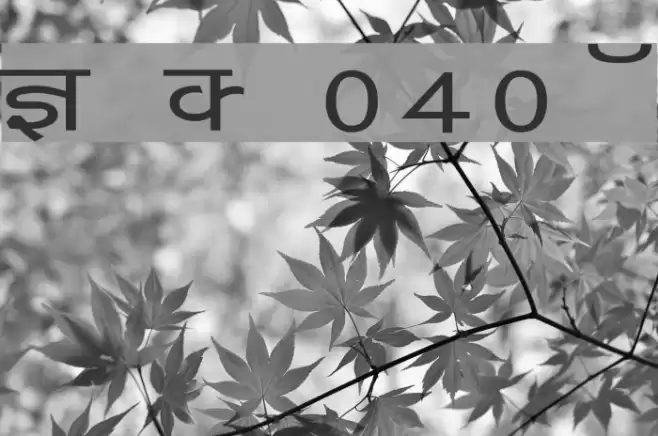 Kruti Dev 040 Wide फ़ॉन्ट examples