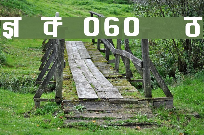 Kruti Dev 060  Bold Example 3