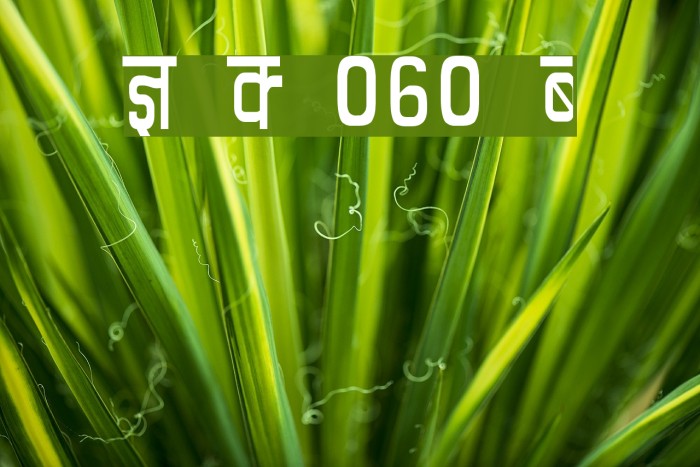 Kruti Dev 060 Condensed Font examples