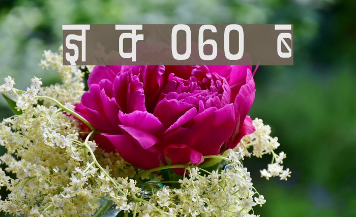 Kruti Dev 060 Condensed Font examples