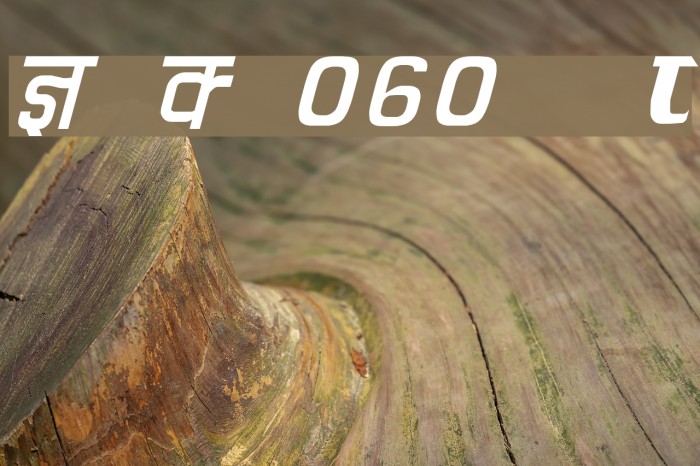 Kruti Dev 060 Italic Font examples