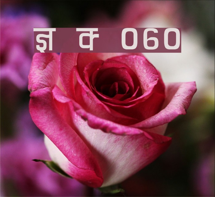 Kruti Dev 060 Font examples