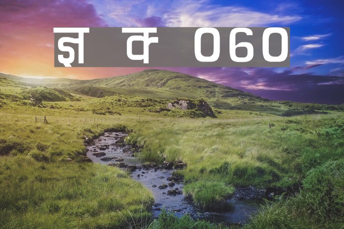 Kruti Dev 060 Font examples