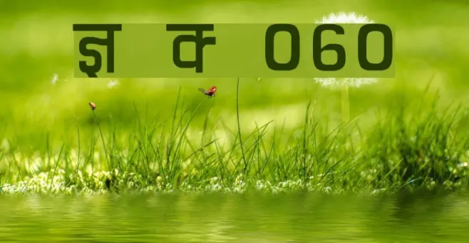 Kruti Dev 060 Example 3