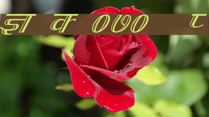 Kruti Dev 070 Italic Font examples