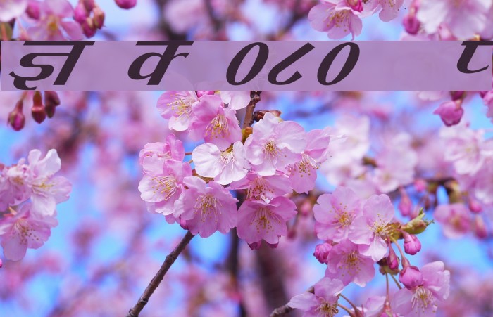 Kruti Dev 080 Italic Font examples