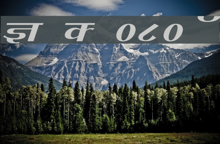 Kruti Dev 080 Wide Font examples
