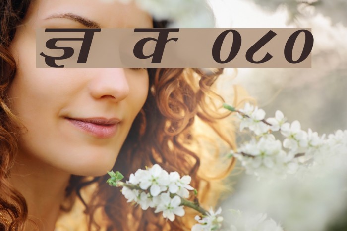 Kruti Dev 080 Font examples