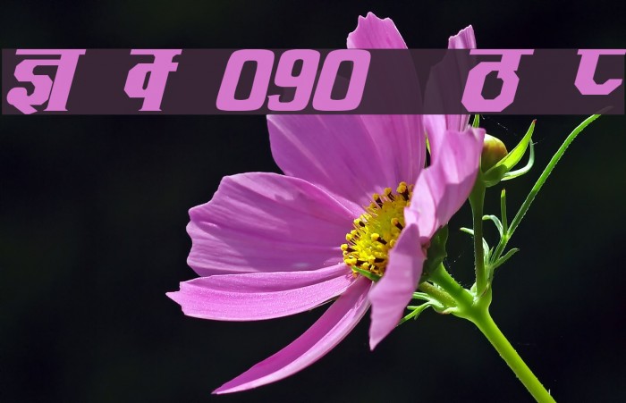 Kruti Dev 090  Bold Italic Example 1