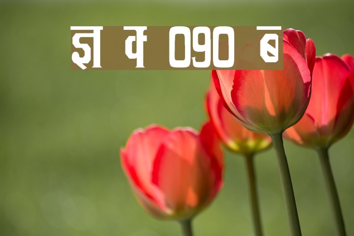 Kruti Dev 090 Condensed Example 3