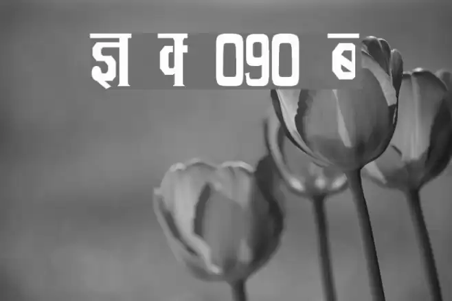 Kruti Dev 090 Condensed Font examples