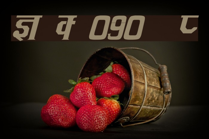 Kruti Dev 090  Italic Example 1