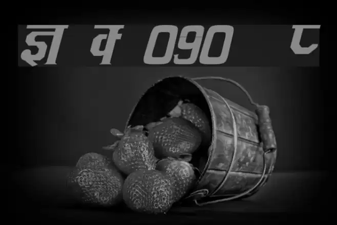 Kruti Dev 090  Italic Font examples