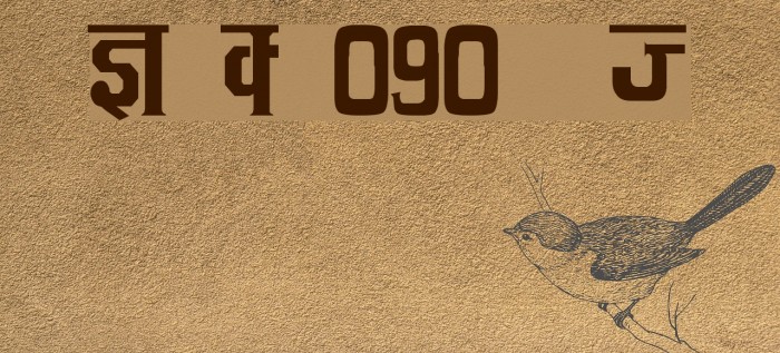 Kruti Dev 090 Thin Font examples
