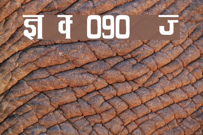 Kruti Dev 090 Thin Font examples
