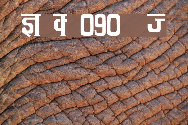 Kruti Dev 090  Thin Example 3