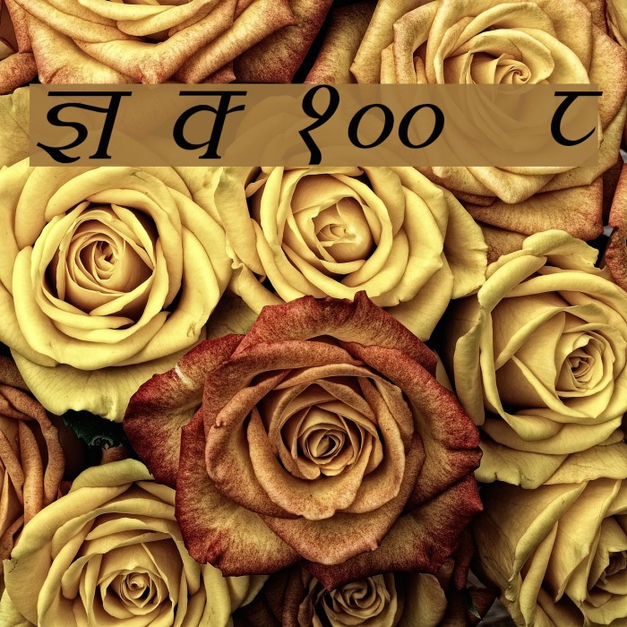 Kruti Dev 100  Italic Example 3